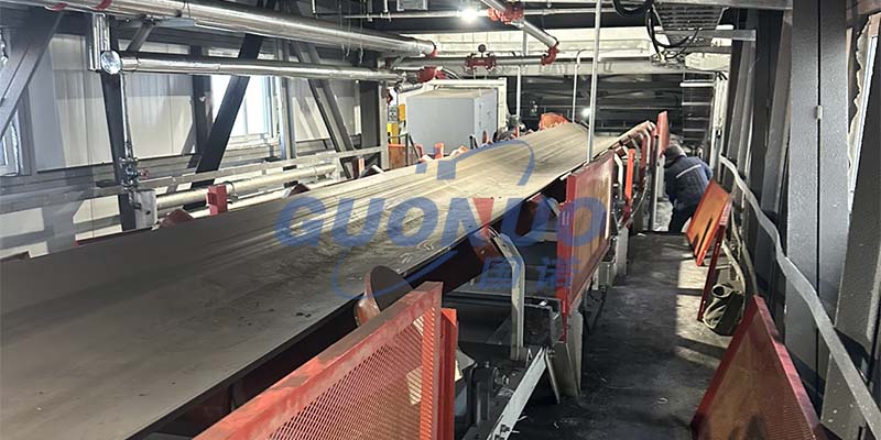 國(guó)諾小站 天舞電氣 紅樹(shù)梁礦.jpg